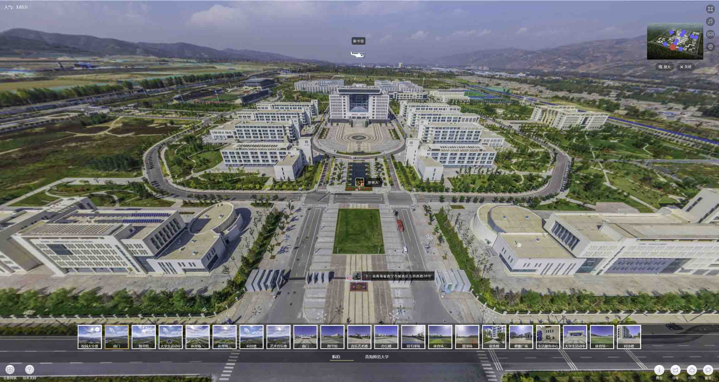 彭阳油菜花-惊艳半生的花海仙境